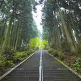 釈迦院御坂遊歩道「日本一（3333）の石段」