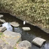 仙台堀川公園