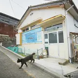 クロネコ堂