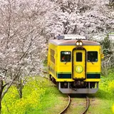 いすみ鉄道　ゆったりんこ号