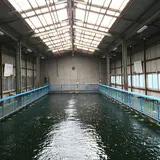 東大阪釣堀センター