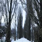 北海道大学
