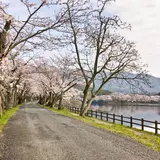 立岡自然公園