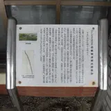 芭蕉翁逗留出雲屋跡
