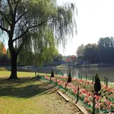 洞峰公園