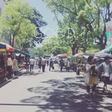 日曜市