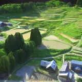 北五百川の棚田