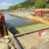 だいご観光やな