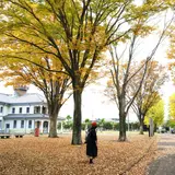 茨城県立歴史館