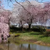 吉野公園