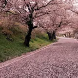 垣生公園