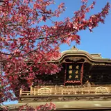 建長寺庭園