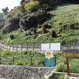 灘黒岩水仙郷