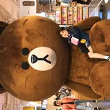 LINE FRIENDS STORE