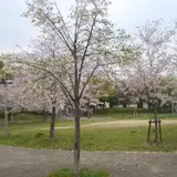 桜ノ宮公園