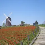 花博記念公園鶴見緑地
