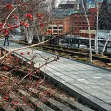 The Highline West Village