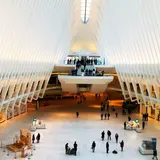 The oculus