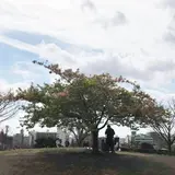 西郷山公園