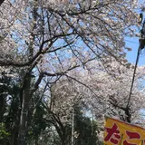 里見公園