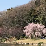 じゅん菜池緑地
