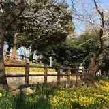 須和田公園