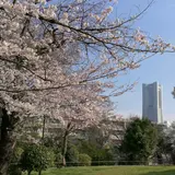 横浜市野毛山公園