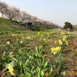 埼玉県狭山市新富士見橋
