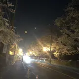 県営狭山稲荷山公園