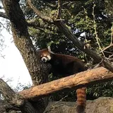 野毛山動物園