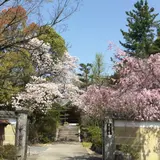 太清寺