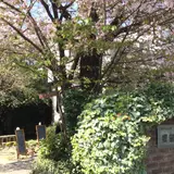 手づくりパンの店 櫻蔵