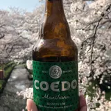 新河岸川