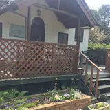 押し花