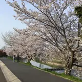 竜田川周辺