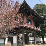 大應寺