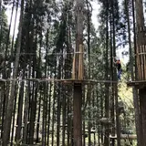 ターザニア