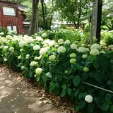 玉敷公園