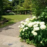 旧河野邸
