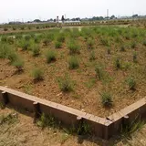 菖蒲城趾あやめ園