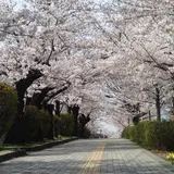 城山公園