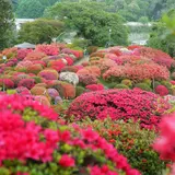 鶴峯公園