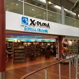 ヌーメア・ラ・トントゥータ国際空港（Nouméa La Tontouta International Airport）