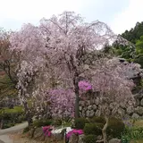 正法寺