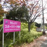 セレッソ舞洲人工芝グラウンド