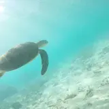 渡嘉志久ビーチ