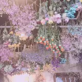 フラワースタイル・ラズリ