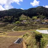 恵那市坂折棚田保存会