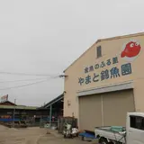 有限会社 やまと錦魚園