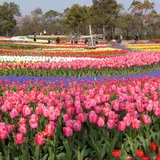 木曽三川公園管理センター